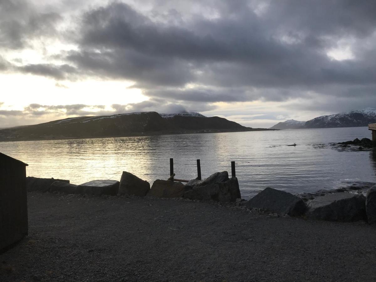 Lofoten Havfiske Leknes Εξωτερικό φωτογραφία