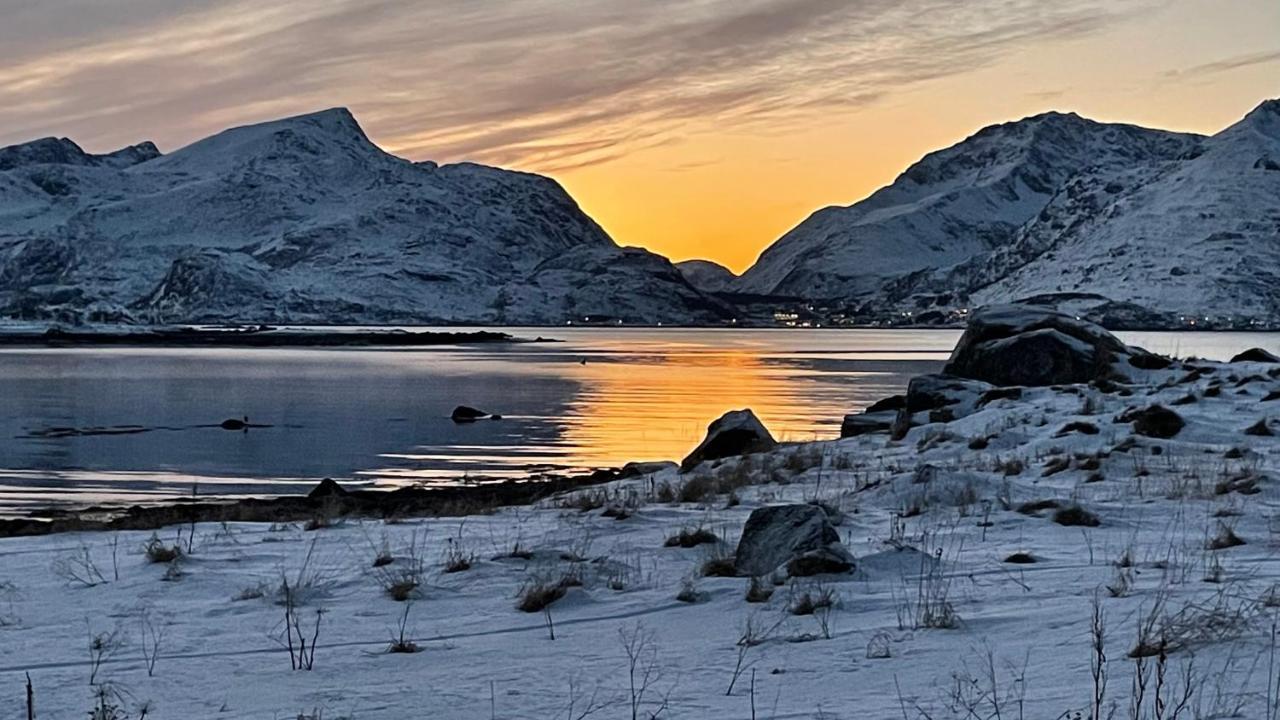 Lofoten Havfiske Leknes Εξωτερικό φωτογραφία