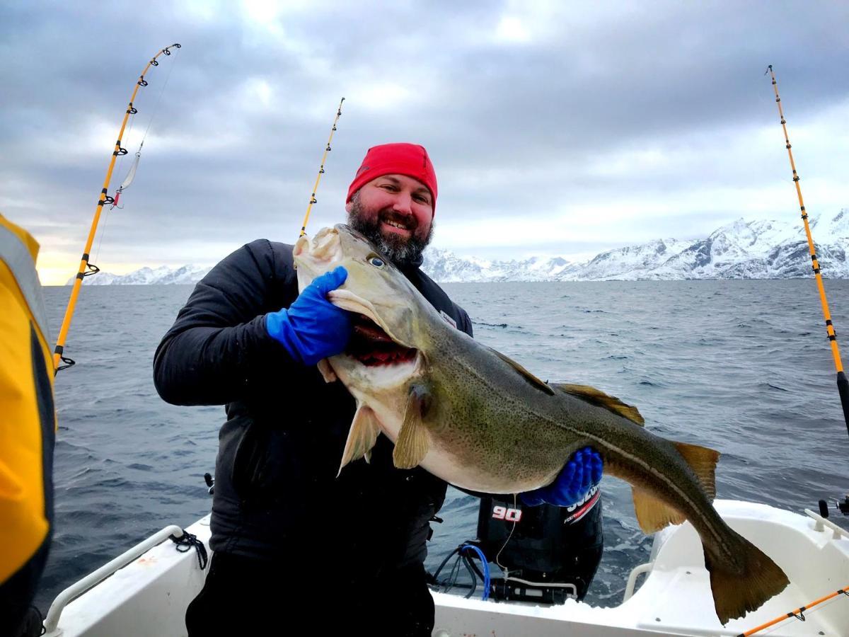 Lofoten Havfiske Leknes Εξωτερικό φωτογραφία