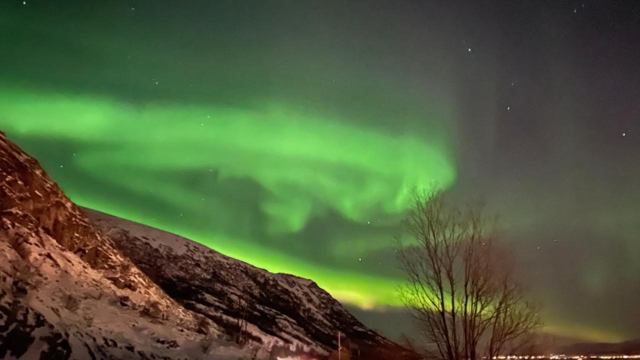 Lofoten Havfiske Leknes Εξωτερικό φωτογραφία