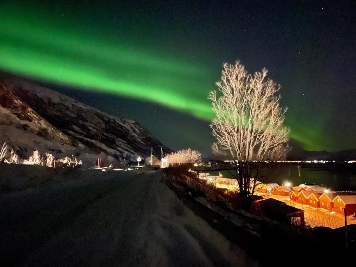 Lofoten Havfiske Leknes Εξωτερικό φωτογραφία