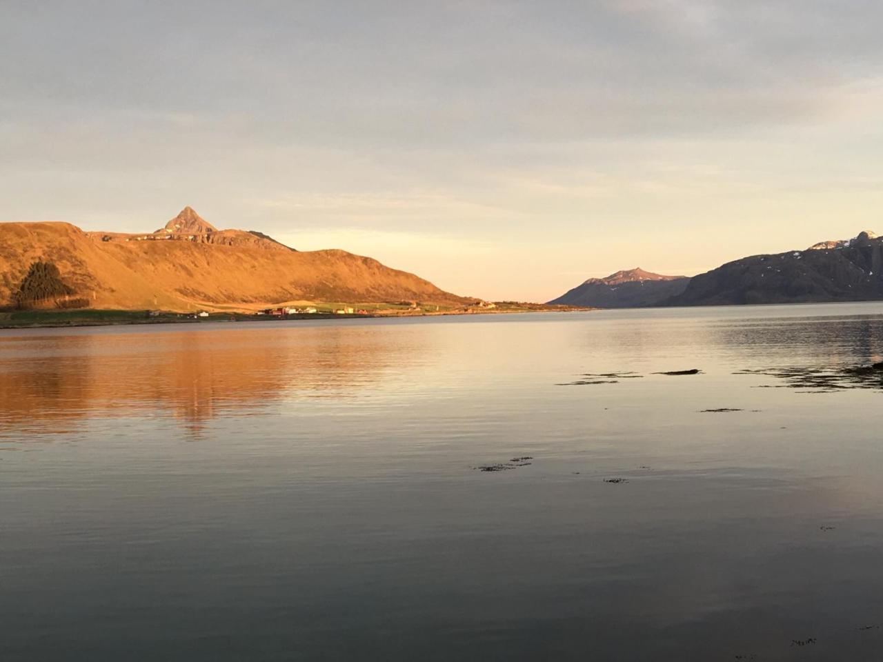 Lofoten Havfiske Leknes Εξωτερικό φωτογραφία