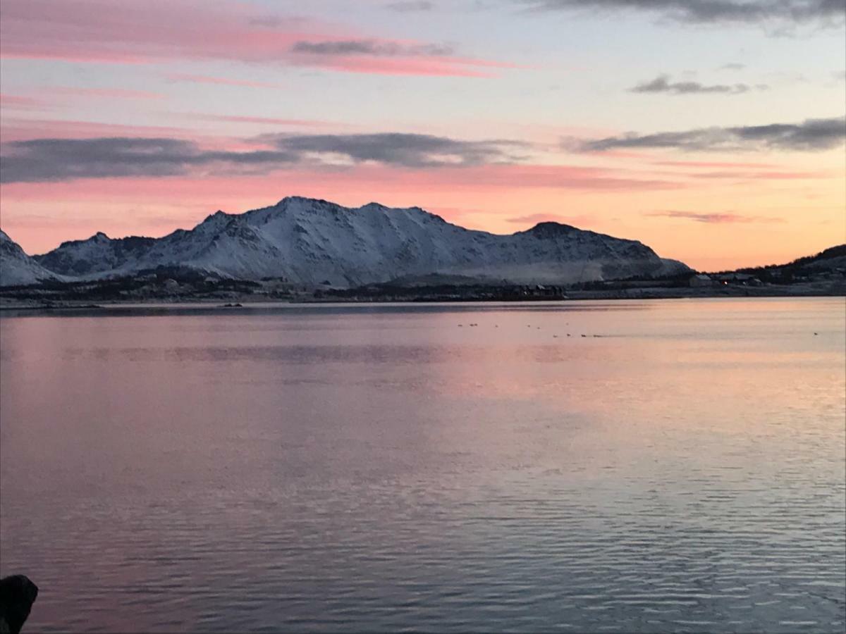 Lofoten Havfiske Leknes Εξωτερικό φωτογραφία